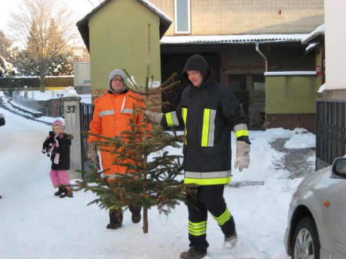 2009 Weihnachtsbäume 01