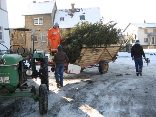 2009 Weihnachtsbäume 04