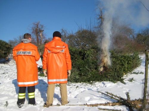 2009 Weihnachtsbäume 10