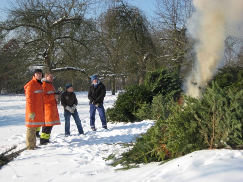 2009 Weihnachtsbäume 12