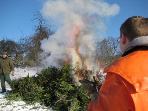 2009 Weihnachtsbäume 13