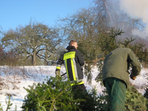 2009 Weihnachtsbäume 18