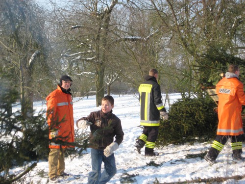 2009 Weihnachtsbäume 19