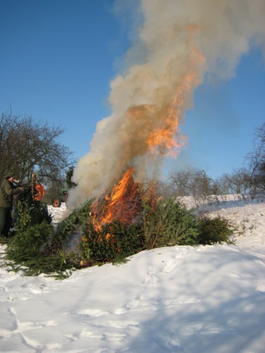 2009 Weihnachtsbäume 20