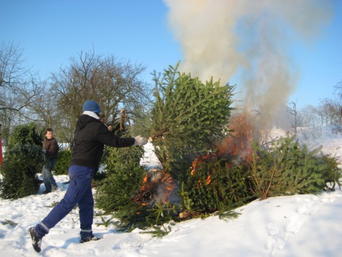 2009 Weihnachtsbäume 21