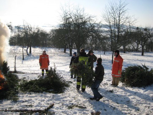 2009 Weihnachtsbäume 22