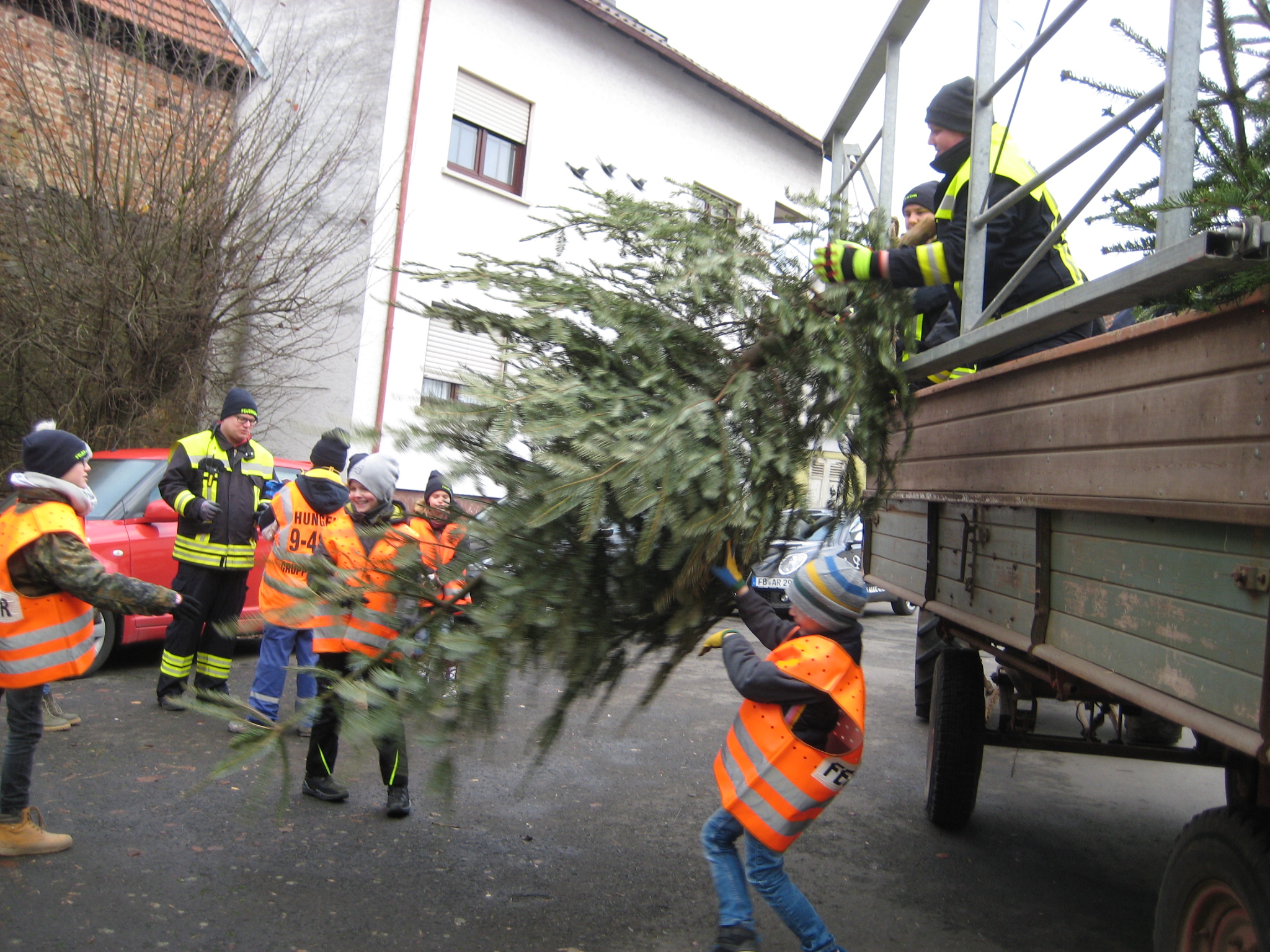 2018 Weihnachtsbäume 05