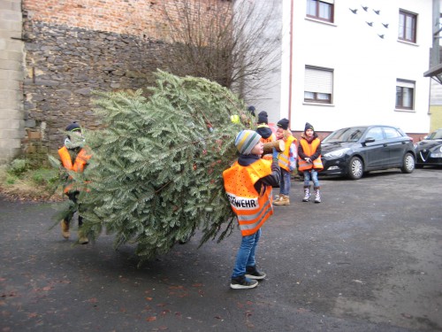 2018 Weihnachtsbäume 04