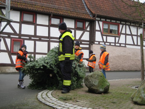 2018 Weihnachtsbäume 06