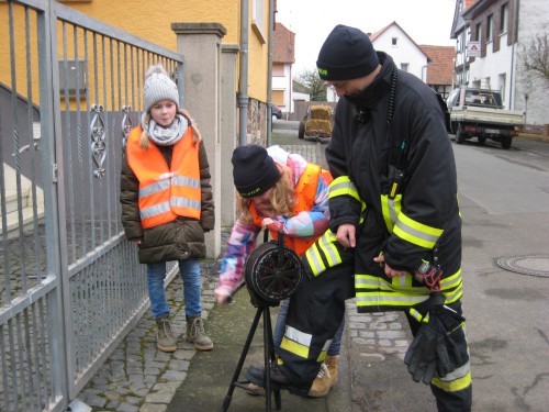 2018 Weihnachtsbäume 07