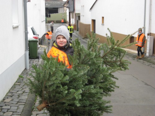 2018 Weihnachtsbäume 08