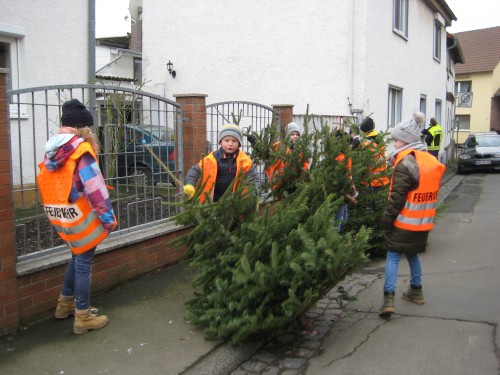 2018 Weihnachtsbäume 11