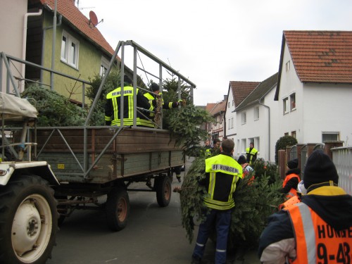 2018 Weihnachtsbäume 12