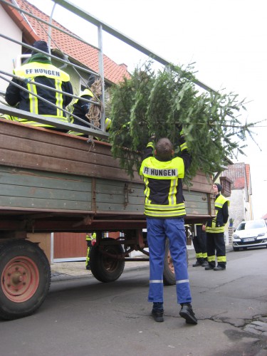 2018 Weihnachtsbäume 13