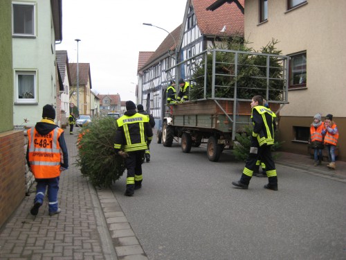 2018 Weihnachtsbäume 16