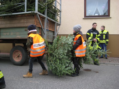 2018 Weihnachtsbäume 17