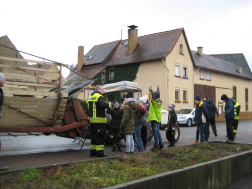 2019 Weihnachtsbäume01