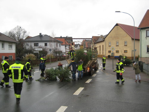 2019 Weihnachtsbäume04