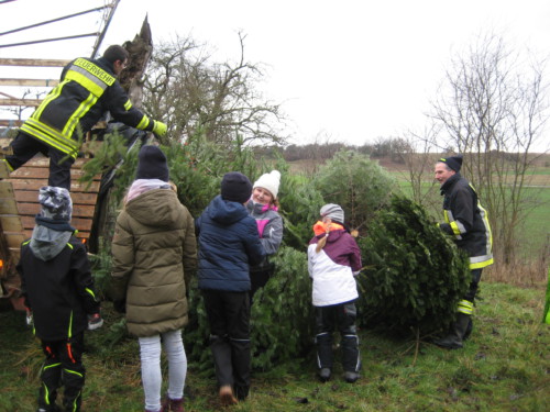 2019 Weihnachtsbäume12