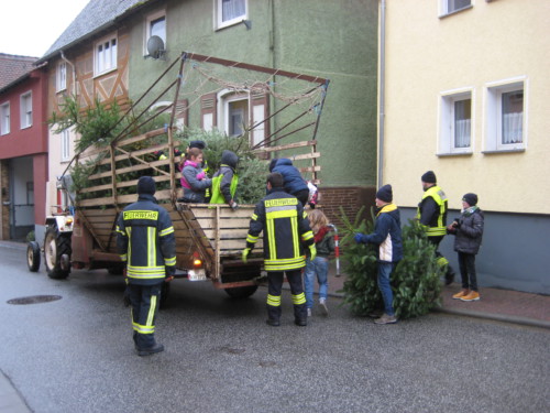 2019 Weihnachtsbäume15