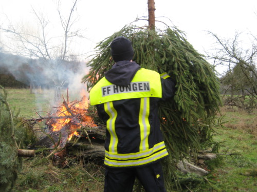 2019 Weihnachtsbäume22