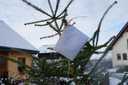 2022 Weihnachtsbaum03