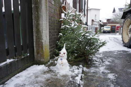 2022 Weihnachtsbaum04