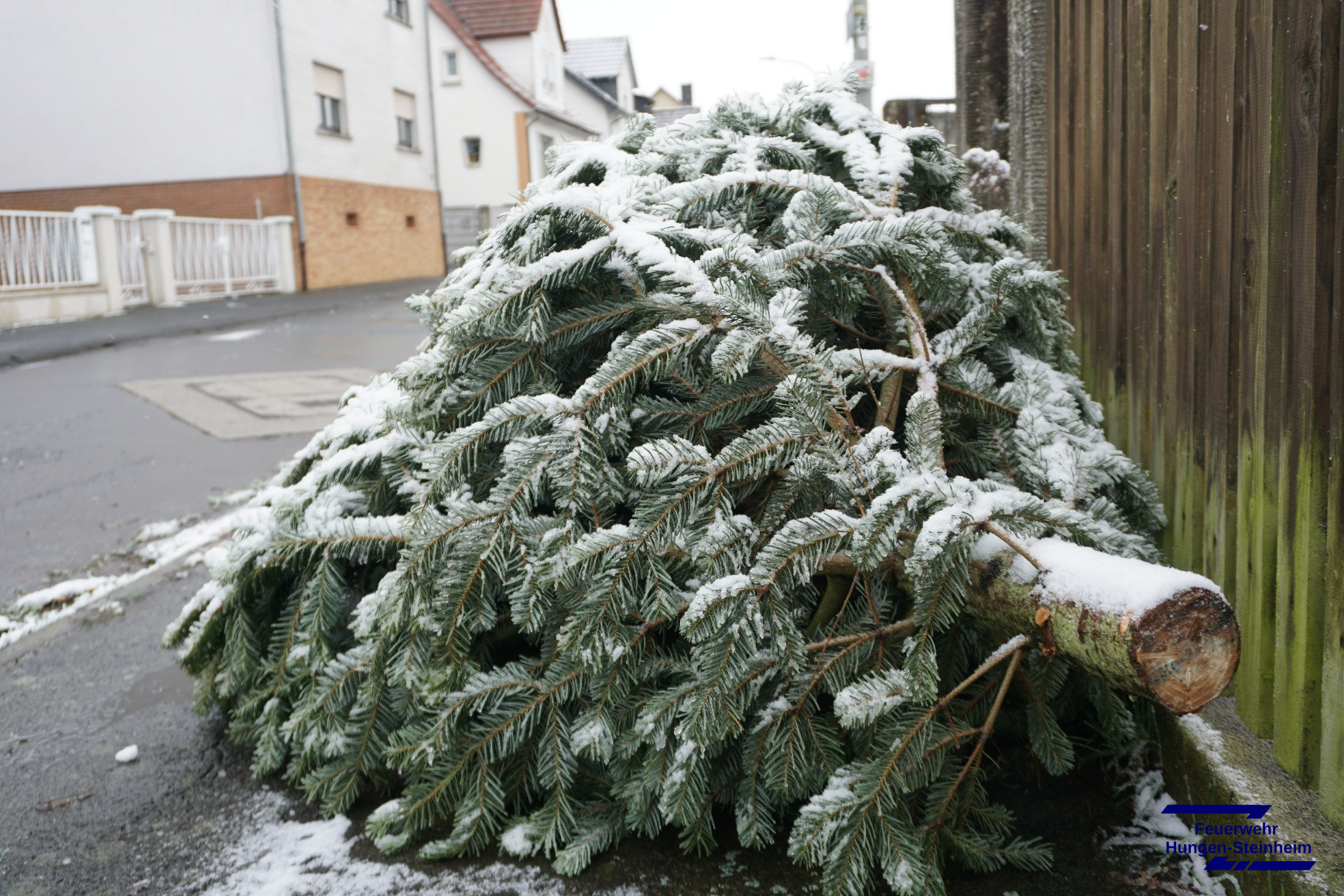 Weihnachtsbaeume2026 01