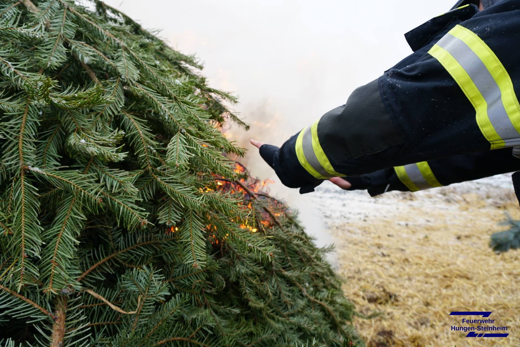 Weihnachtsbaeume2026 04
