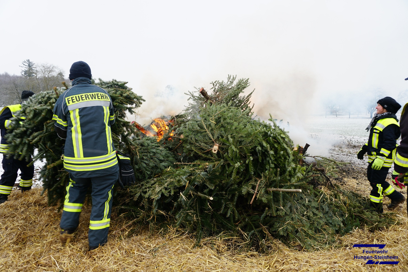 Weihnachtsbaeume2026 07