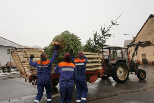 Weihnachtsbaeume2026 02