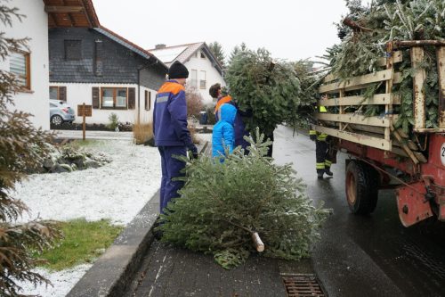 Weihnachtsbaeume2026 03