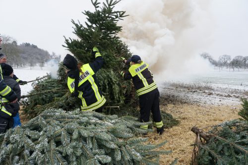 Weihnachtsbaeume2026 05