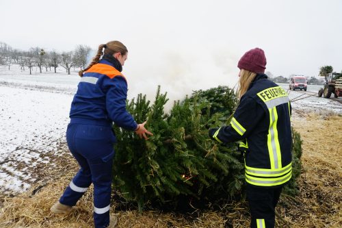 Weihnachtsbaeume2026 06