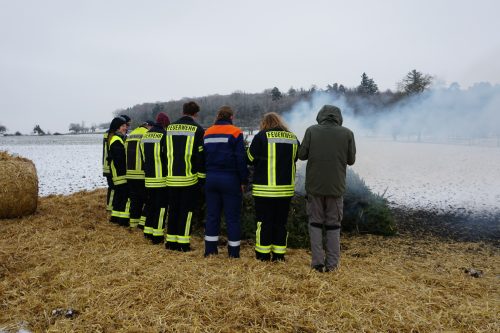 Weihnachtsbaeume2026 08